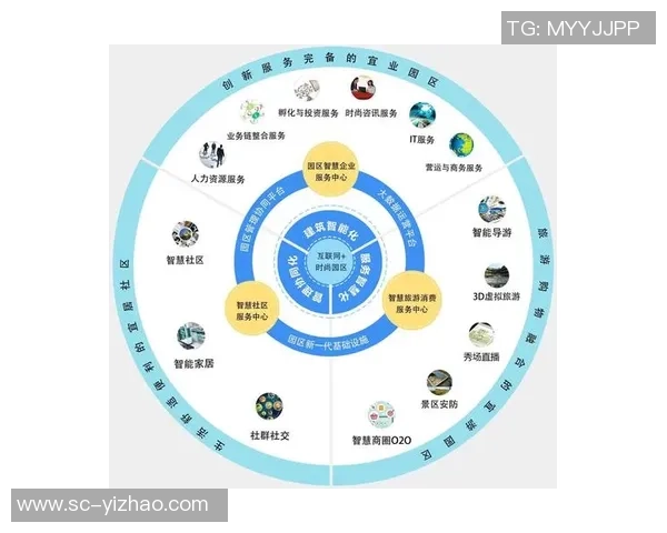 深入解析足球禁区的英文表达及其在比赛中的重要性