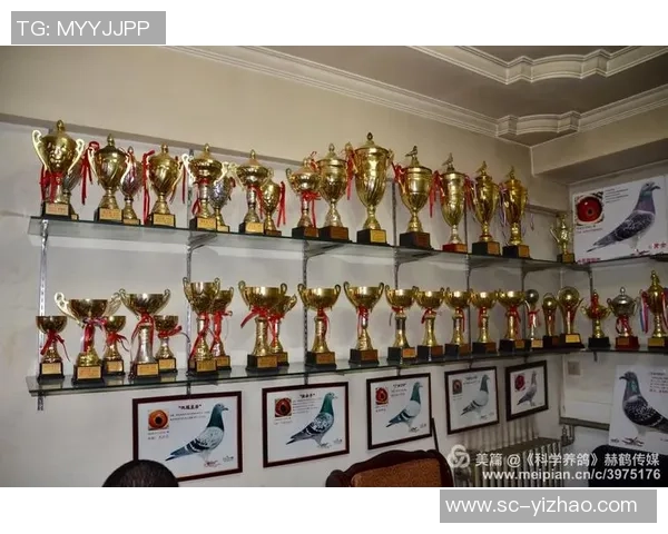 足球大师特维斯的传奇人生与辉煌成就回顾